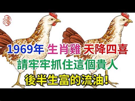 1969雞五行|1969年出生是什麼命？